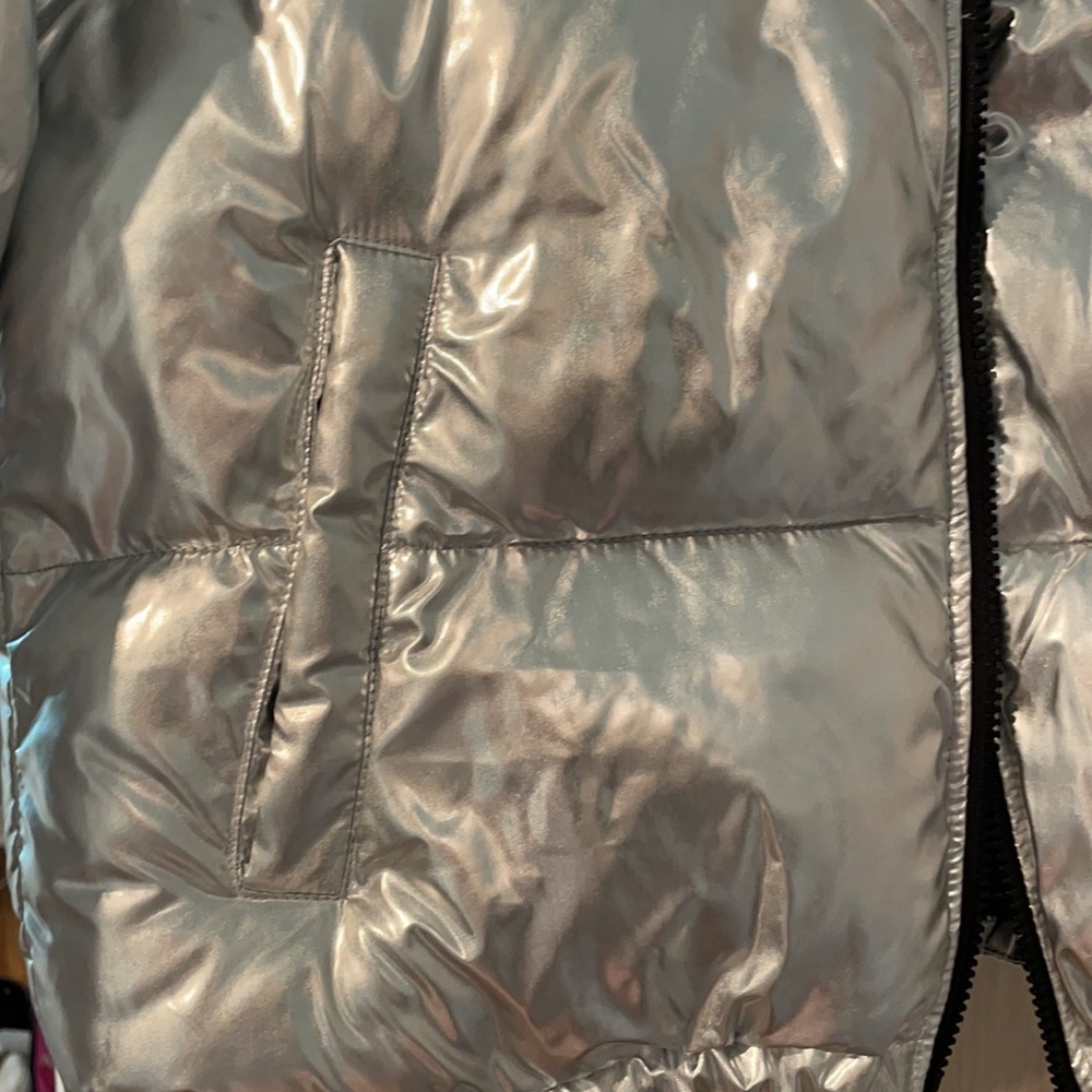 Silver Puffy Jacket - Picture 3 of 6